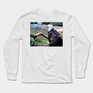 Bald Eagle Long Sleeve T-Shirt